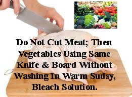 Cutting Meat & Vegetables On same Board Without Washing/Scrubbing In Warm, Sudsy, Bleach Water Is A Negative!